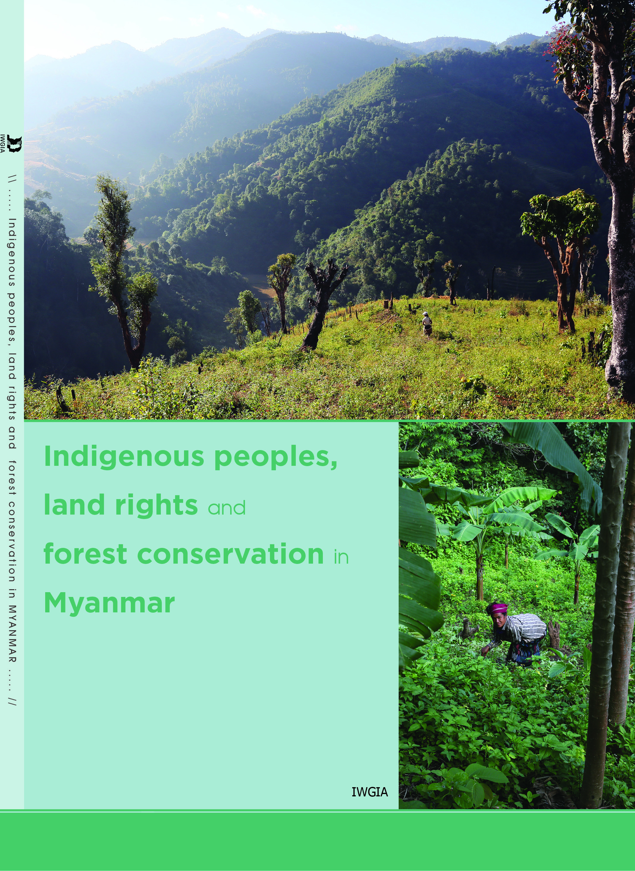 Indigenous peoples, land rights and forest conservation in Myanmar